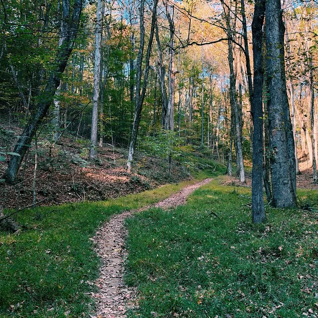 Been in Tennessee the past few days doing a launch. Smooth launch week and everyday got to finish out here on the trail. Pretty beautiful. E